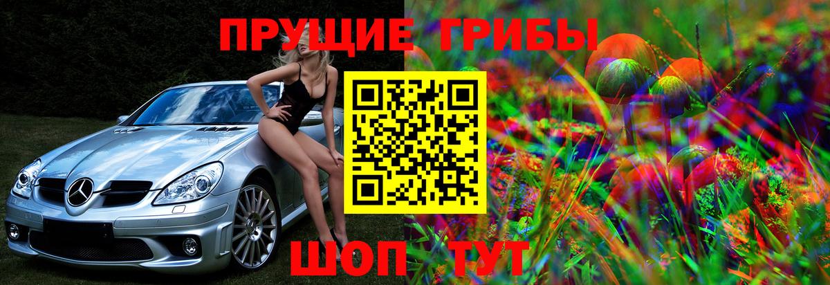 Псилоцибиновые грибы мицелий  Вход с VPN  Прокопьевск  Галлюциногенные грибы GOLDEN TEACHER 